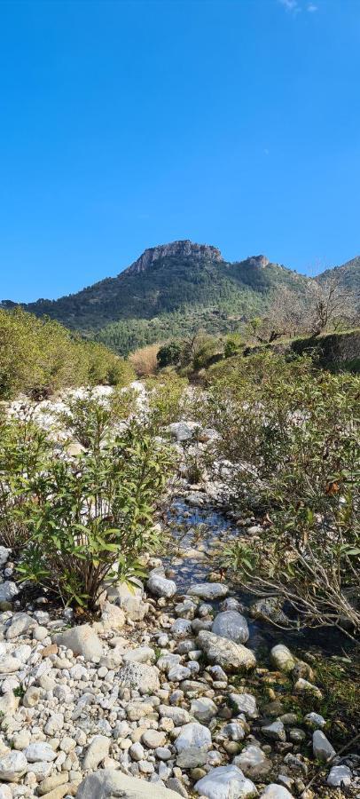 El Capricho Beniali Alicante