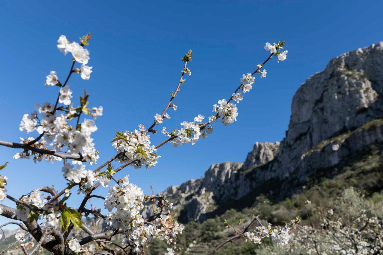 El Capricho Beniali (adults Only) 4* Alicante
